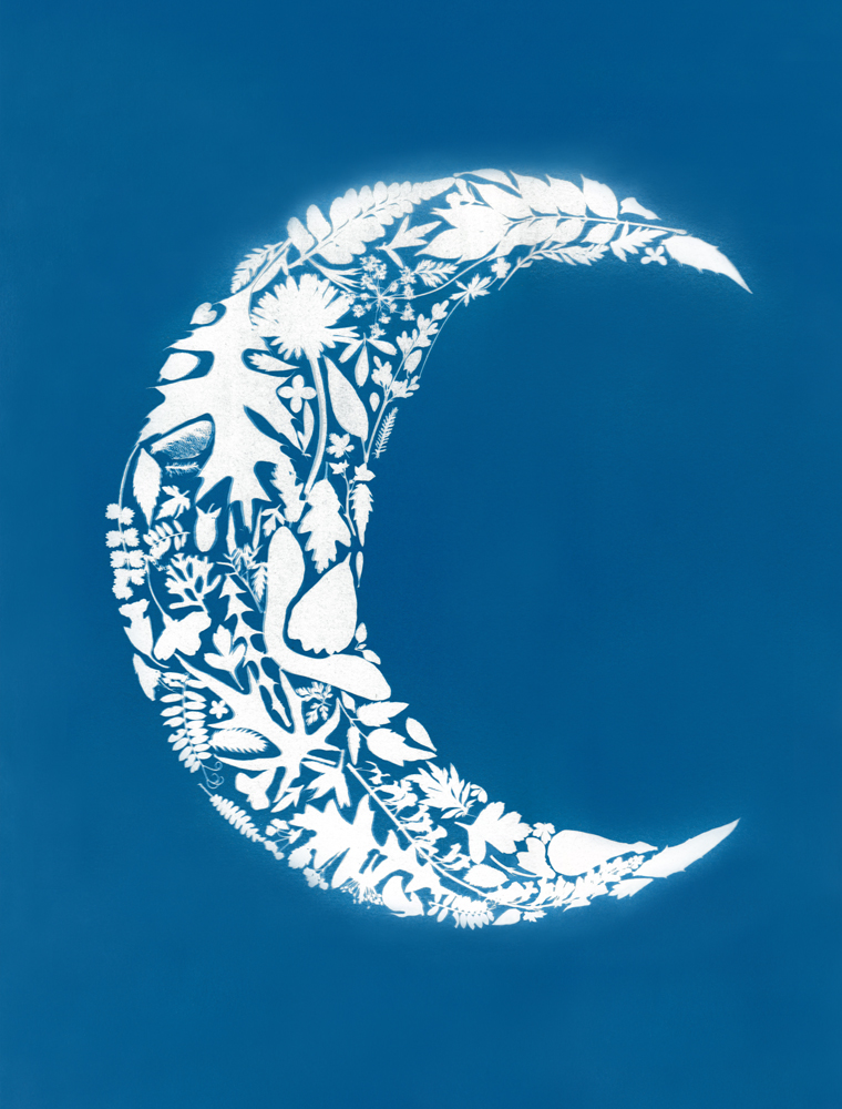 EmilyArnoldFineArt 05 Belper AT 26